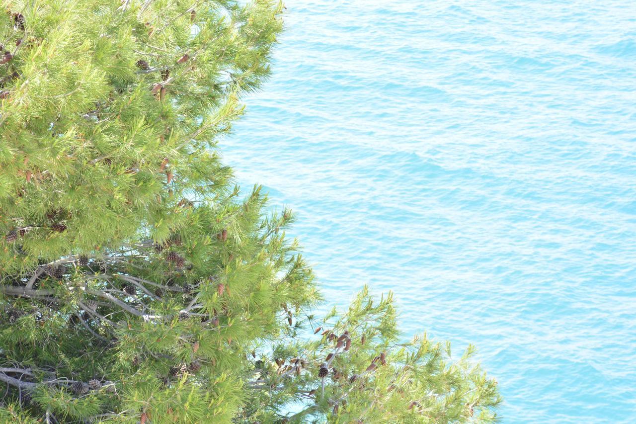 Blancos Rooms Hotel Peñíscola Eksteriør bilde